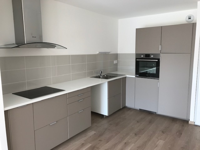 APPARTEMENT à LA MONTAGNE