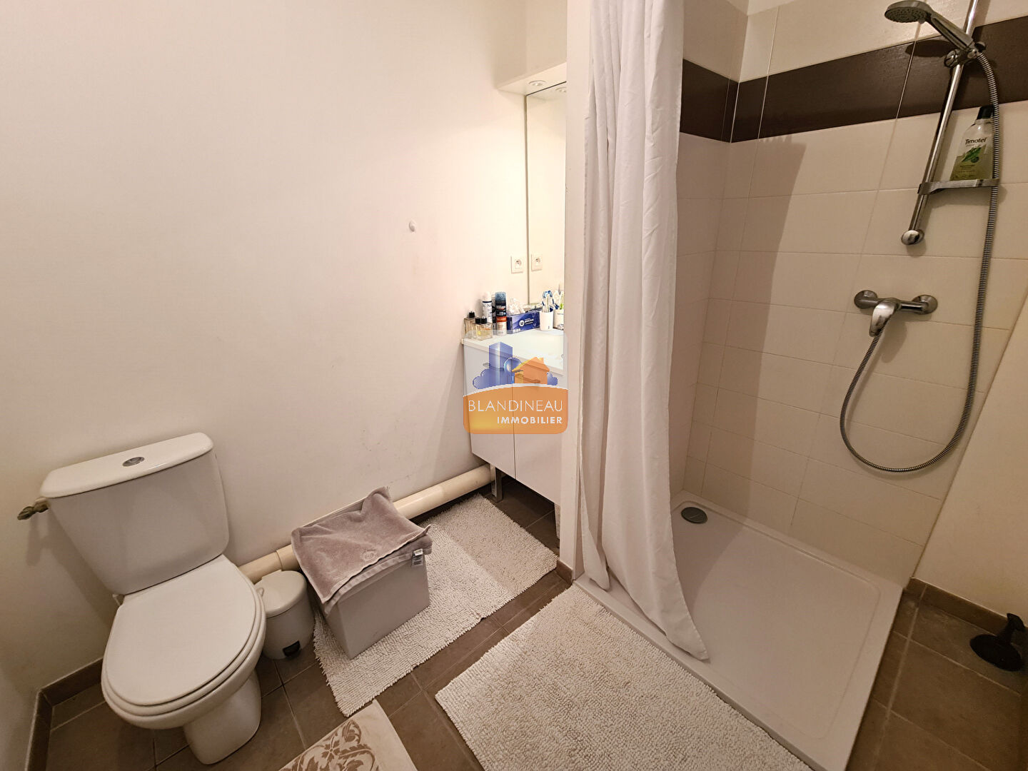 Image APPARTEMENT à BOUAYE