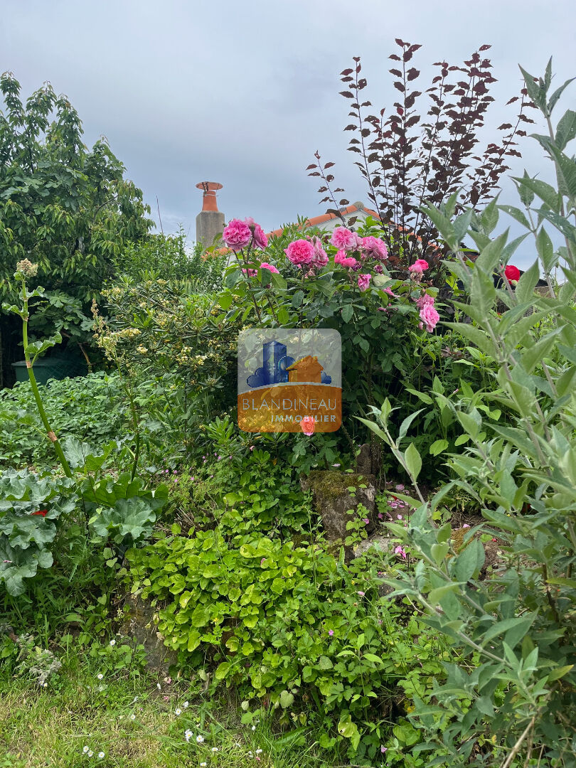 Image MAISON à BOUAYE