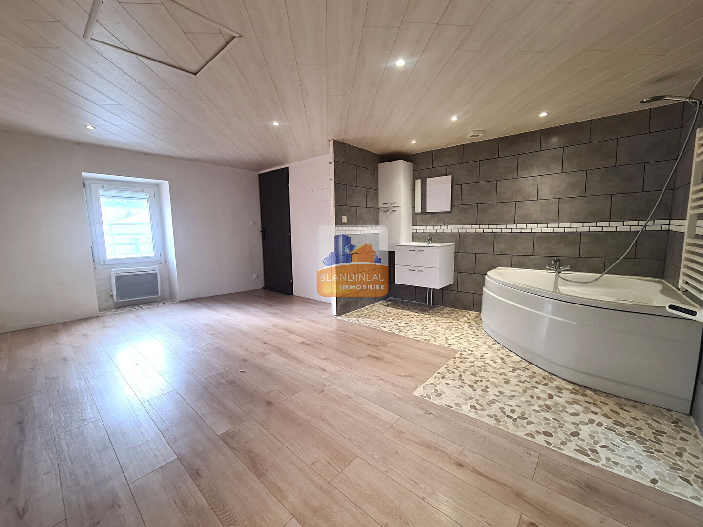 Image MAISON à LA MONTAGNE