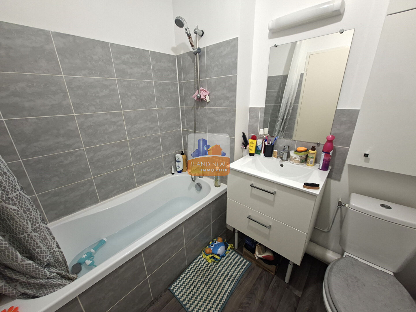 Image MAISON à SAINT JEAN DE BOISEAU