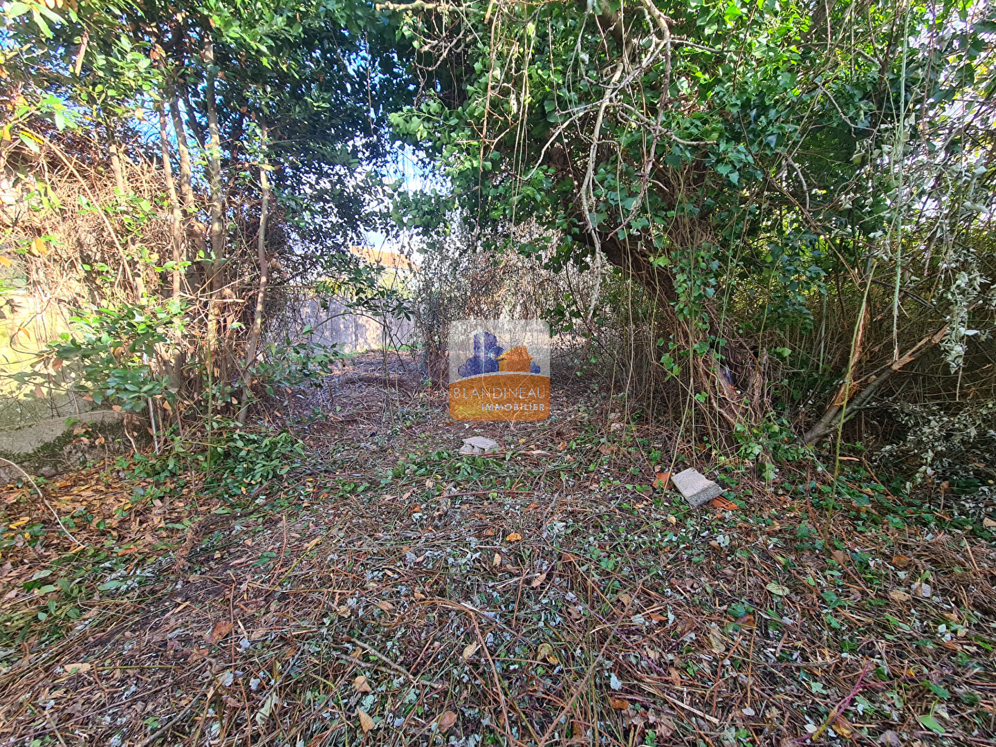 Image MAISON à LA MONTAGNE