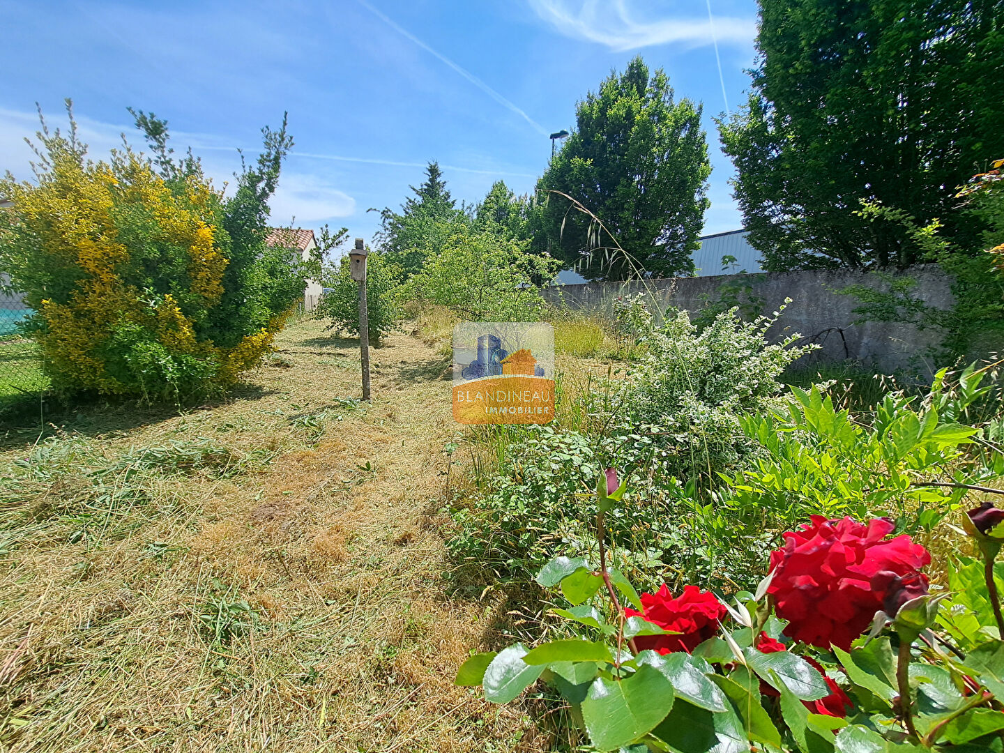 Image MAISON à CHAUMES EN RETZ