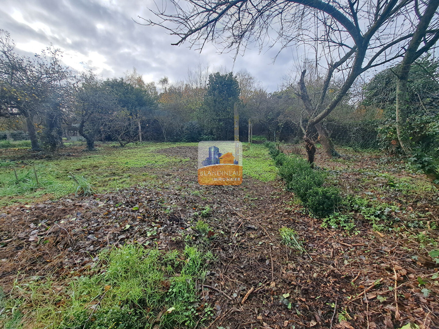 Image MAISON à SAINT JEAN DE BOISEAU