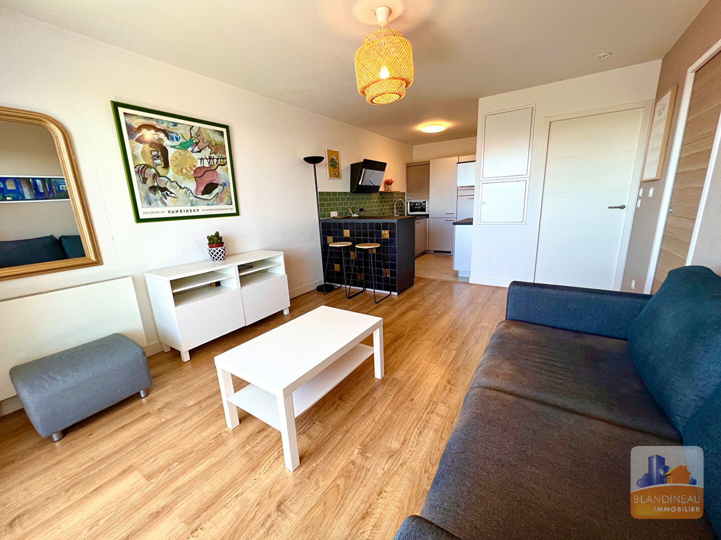 Image APPARTEMENT à NANTES