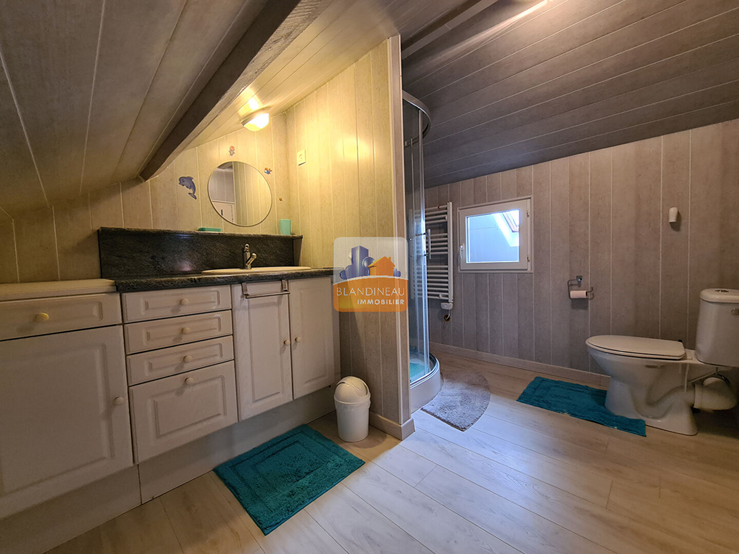 Image MAISON à SAINT JEAN DE BOISEAU