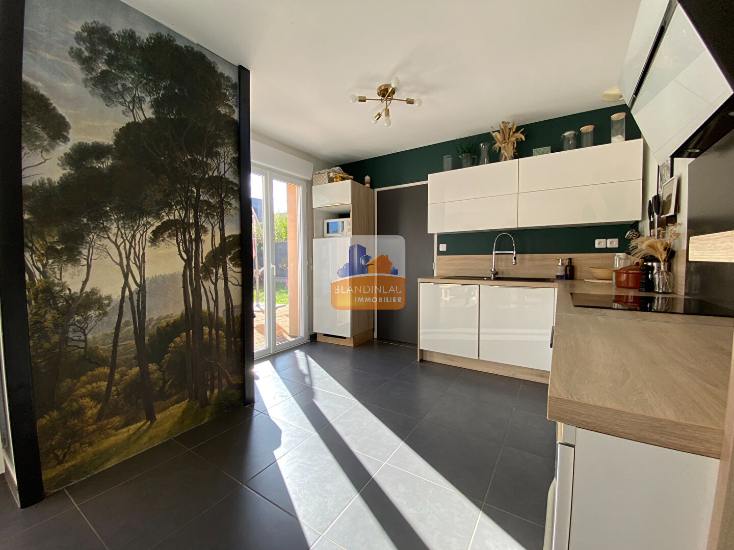 Image MAISON à SAINT JEAN DE BOISEAU